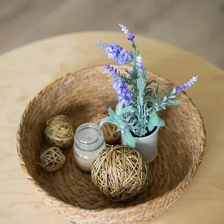 Apartman Sofia Navarro P2 7d