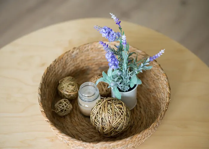 Apartamento Sofia Navarro P2 7d