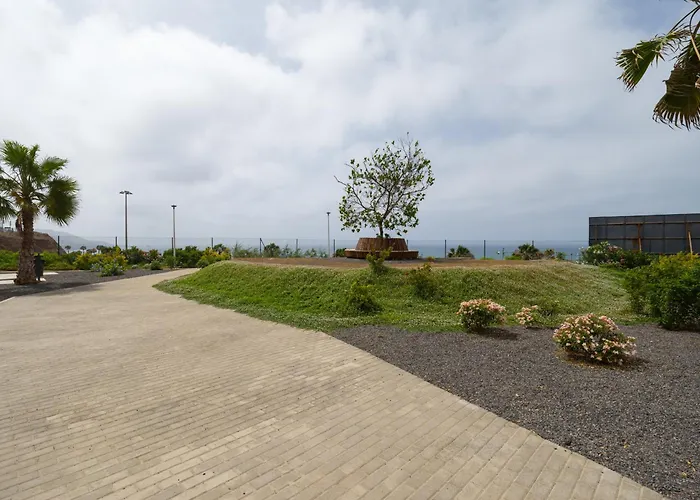 Sofia Navarro P2 7d *