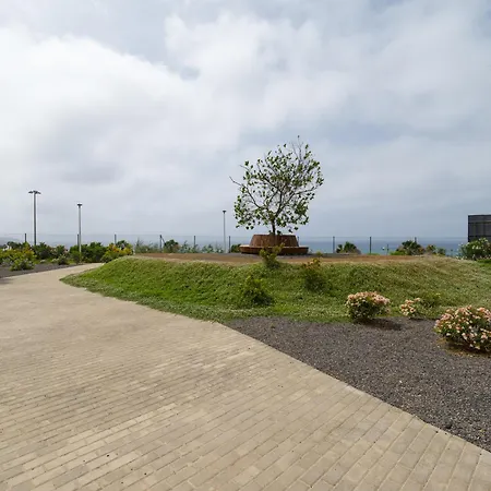 Sofia Navarro P2 7d *